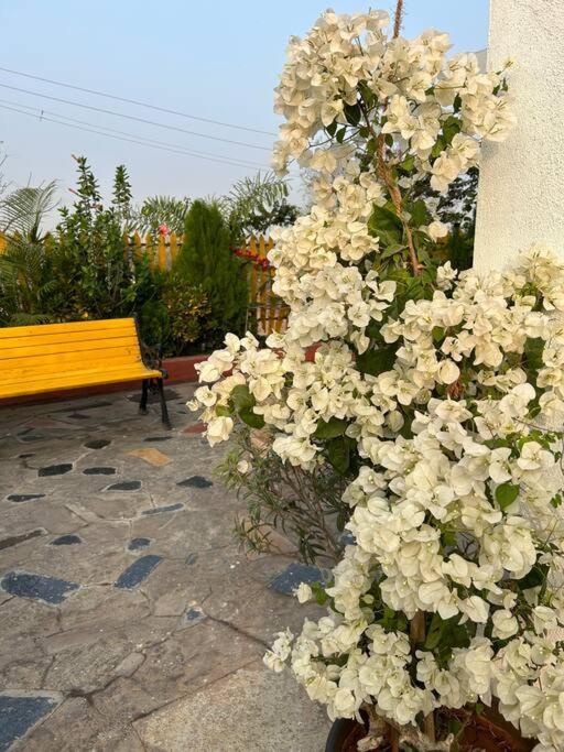 Holiday home The Oasis - Reconnect Pune