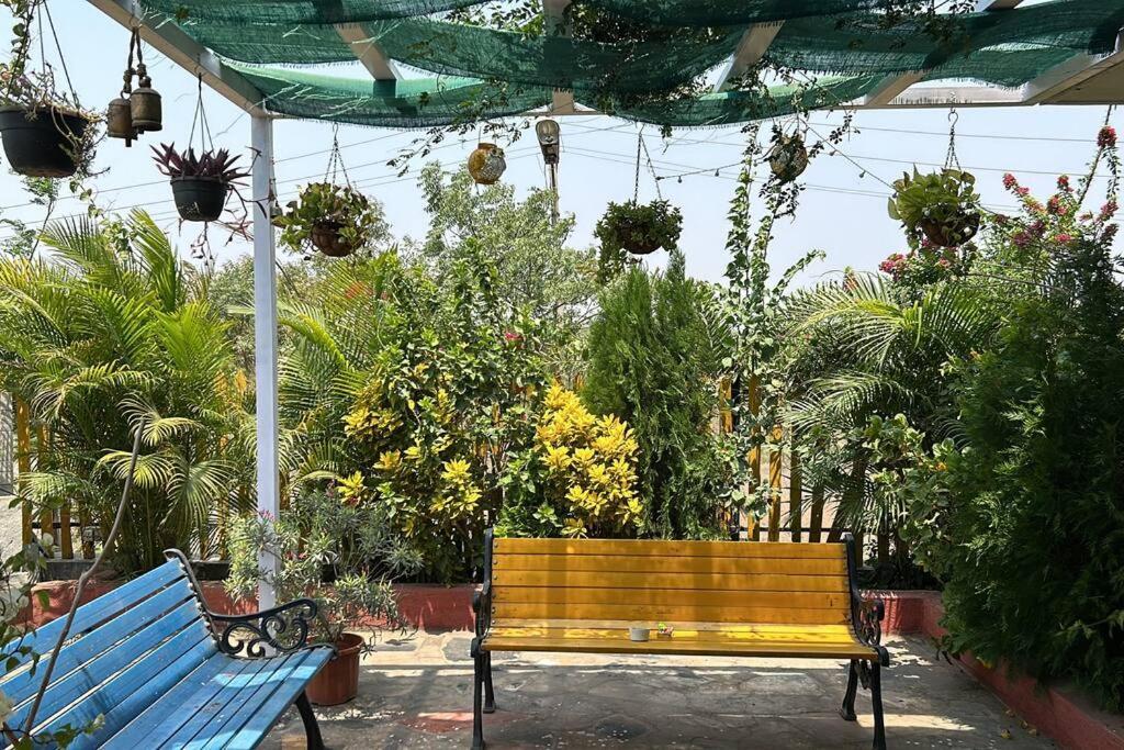 The Oasis - Reconnect * Pune