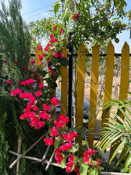 Holiday home The Oasis - Reconnect *